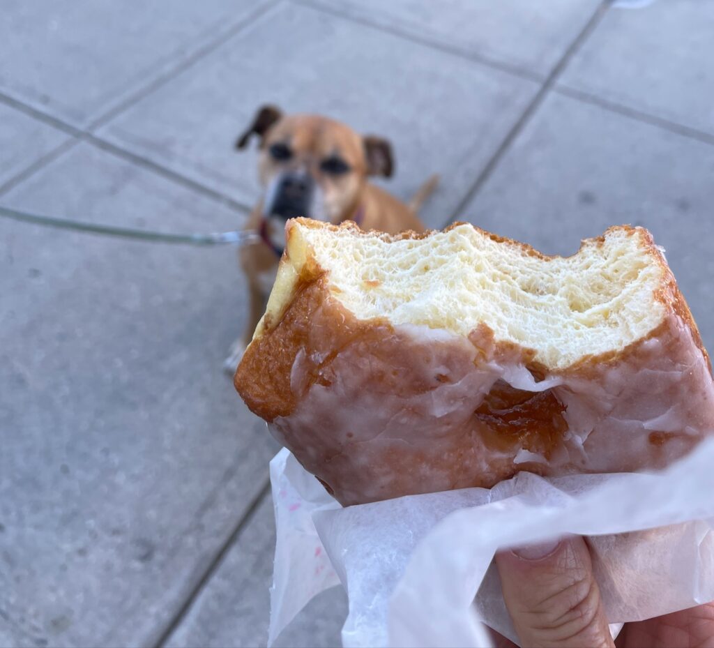 Bugsy didn't get any donut from Sandy's Donuts