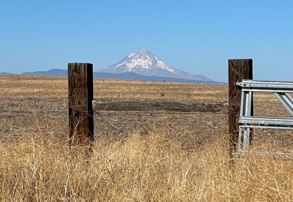 Mount Hood from the road to Bend