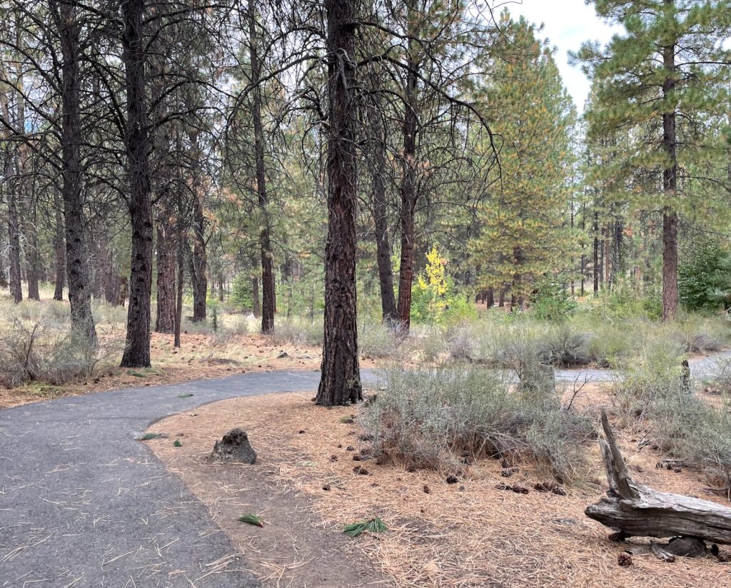 nature trail at High Desert Museum