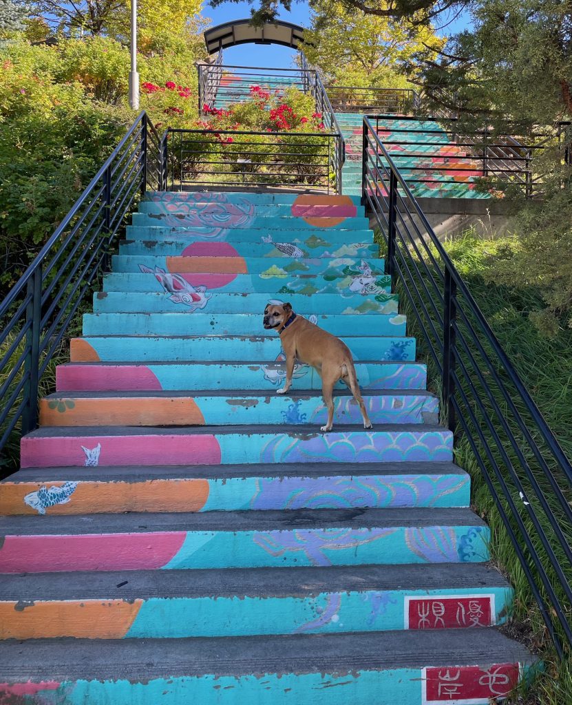 Bugsy and outdoor art in Old Mill District