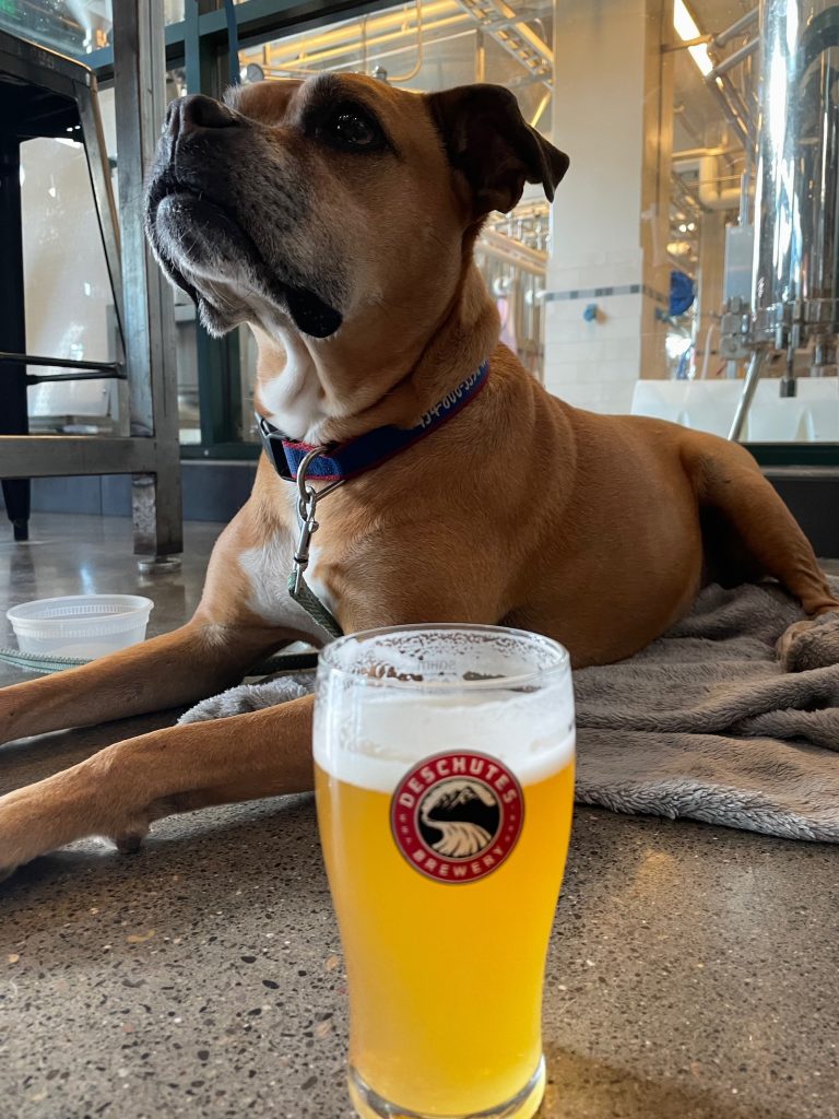 beer at Deschutes Brewing
