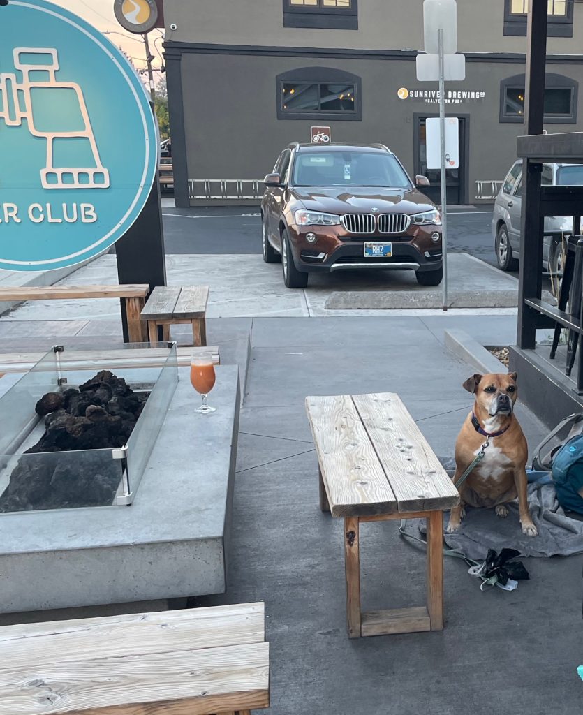 Bugsy hanging out at Boss Rambler