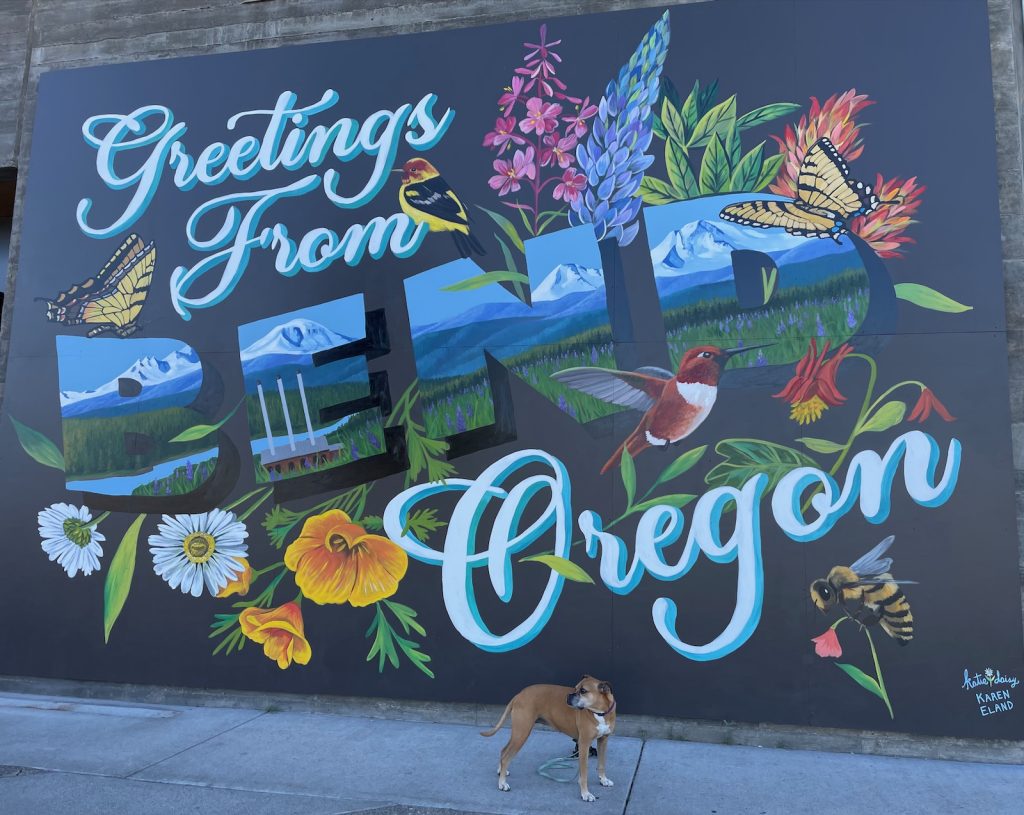 Greetings from Oregon, from Bugsy