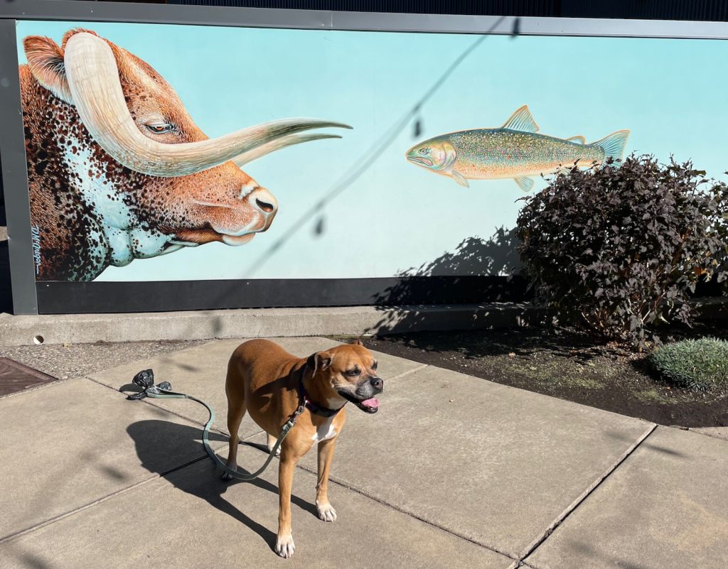 more public art in Old Mill