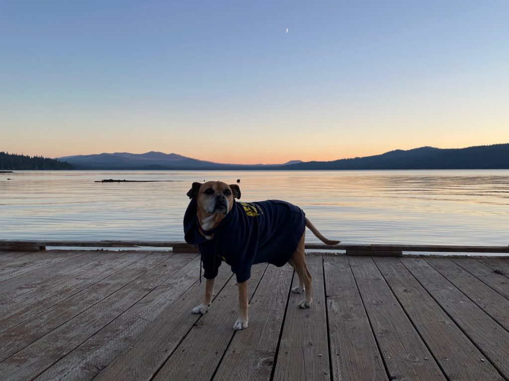 Bugsy at Diamond Lake at sunset