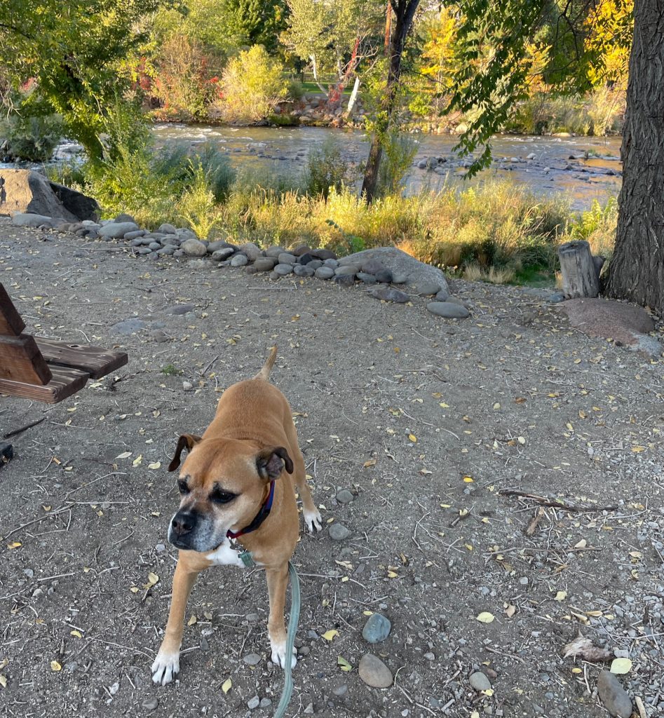 Bugsy and the Truckee River