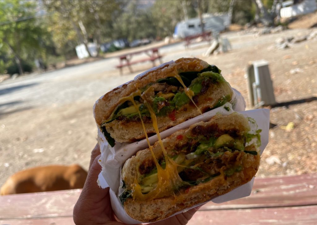 sandwich from Sierra Subs at our campsite