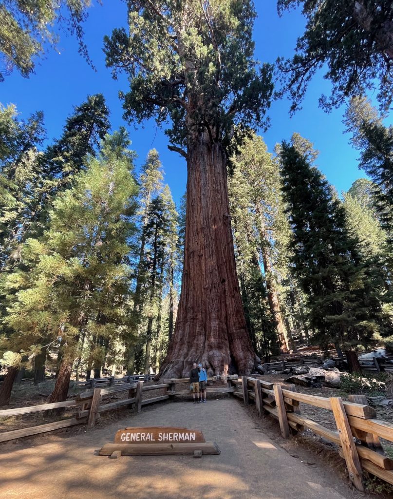 standing in front of General Sherman tree
