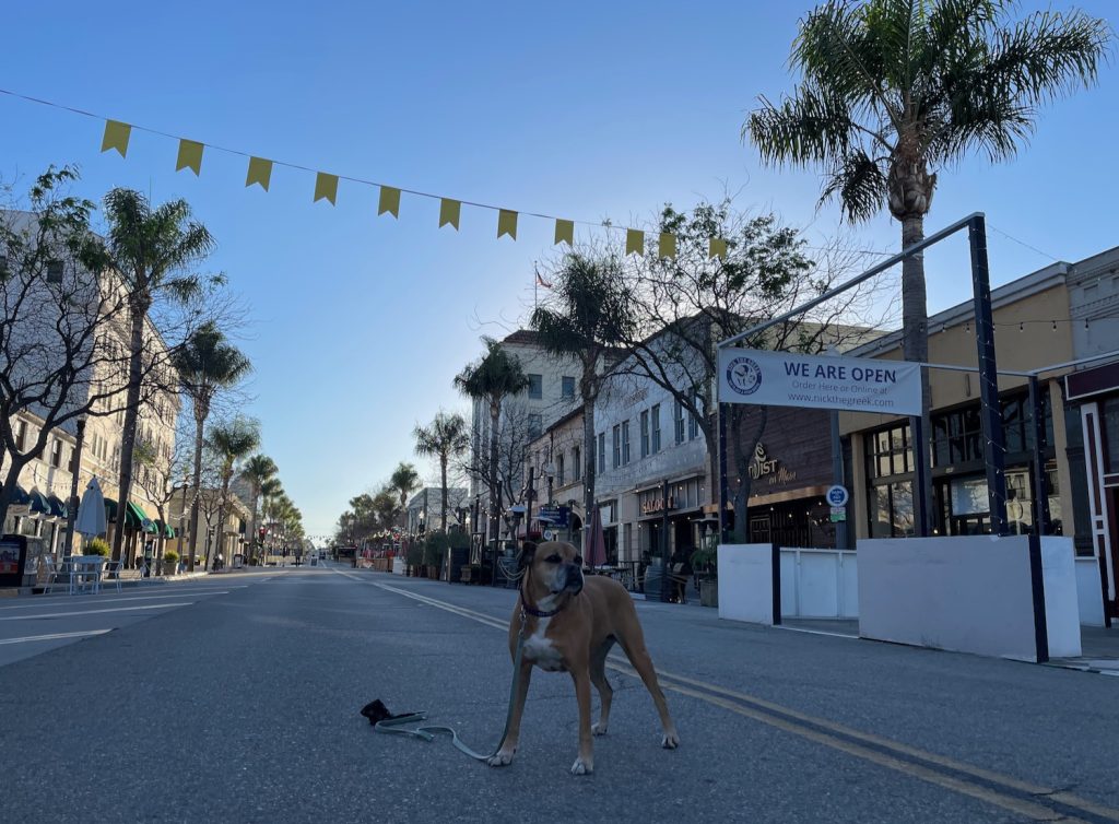 Bugsy in downtown Ventura