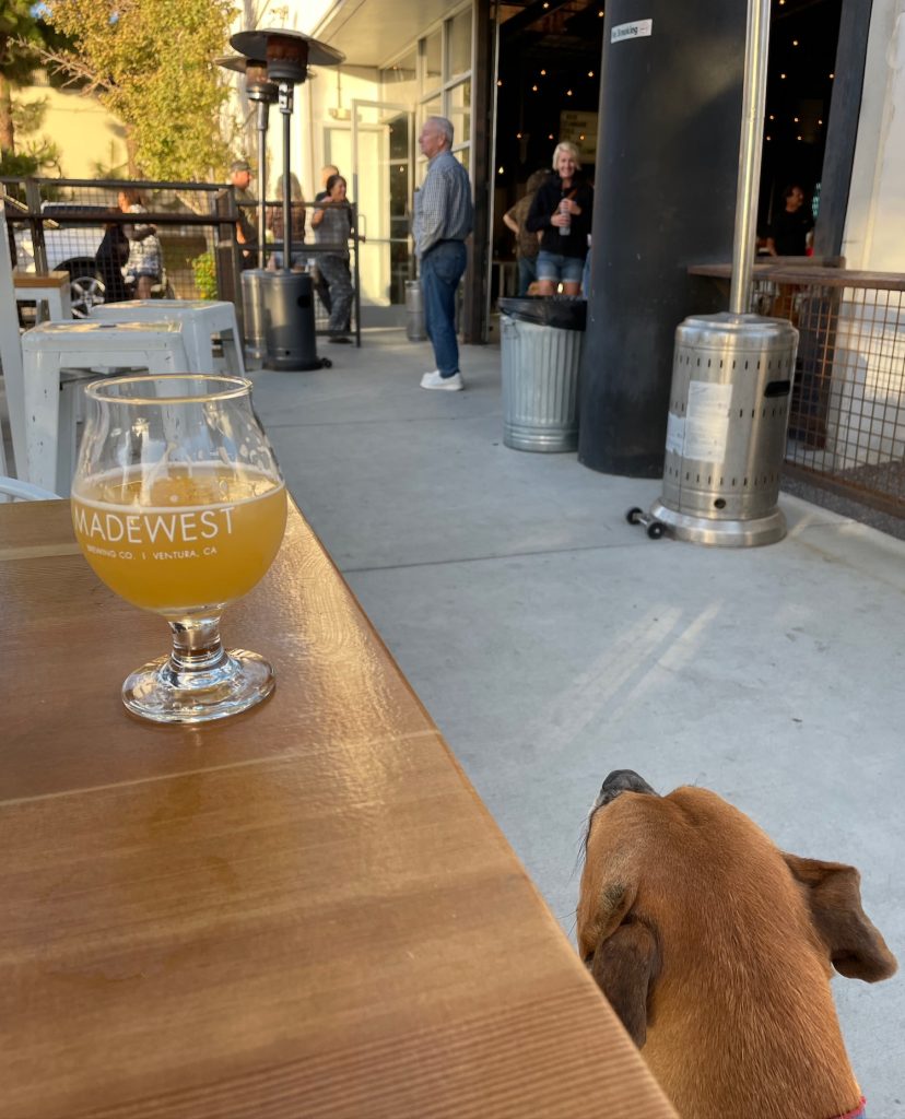 Bugsy and a beer at MadeWest
