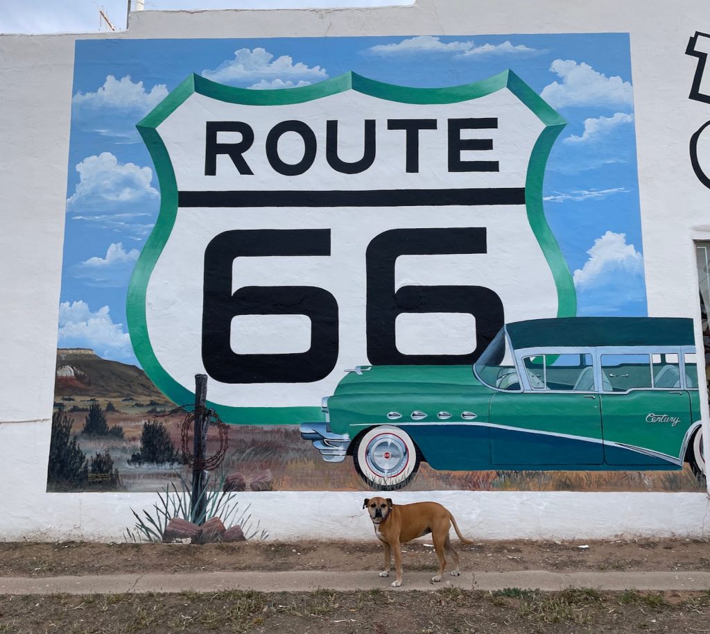 Bugsy in front of a Route 66 mural in Tucumcari