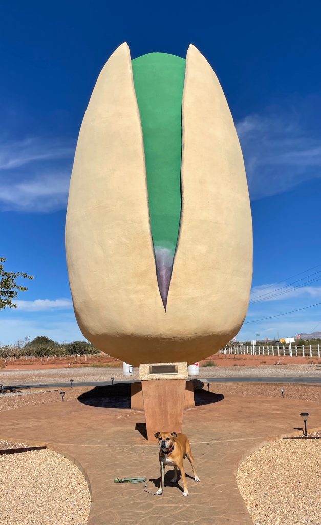 Bugsy and the world's biggest pistachio