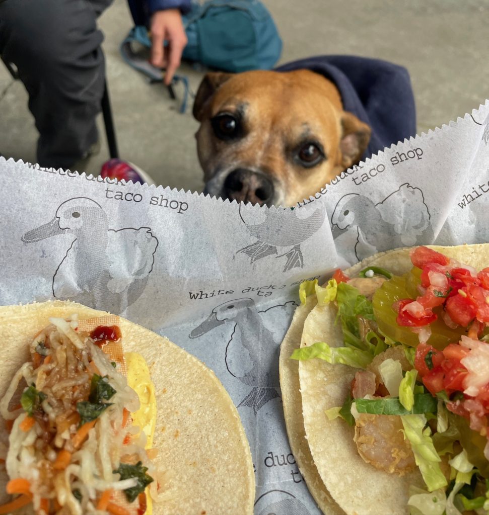 White Duck Tacos and brown dog in Johnson City