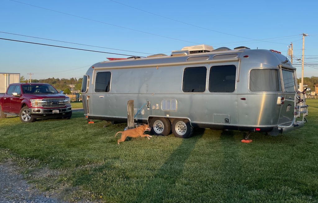 Bugsy sprinting past the Airstream