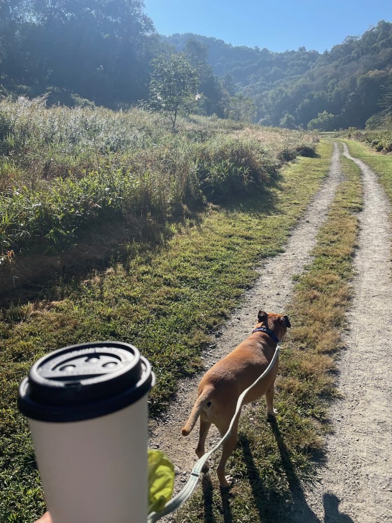 Kovu coffee and Bugsy on the Boone Greenway