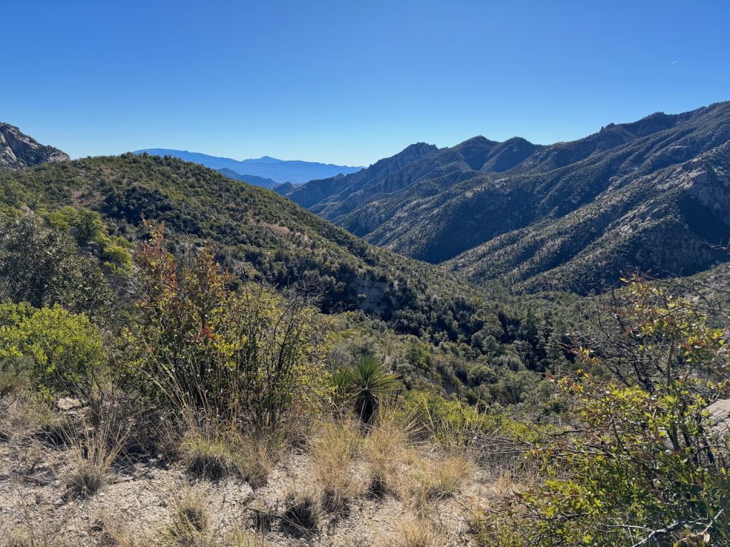 the view from Romero Pass into Sabino Canyon
