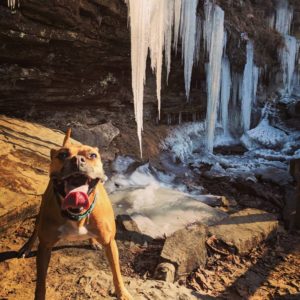 bugsy and a frozen waterfall in devil's den state park