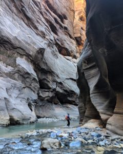 The Narrows hike Zion