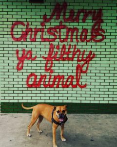 Merry Christmas ya filthy animal mural in Austin