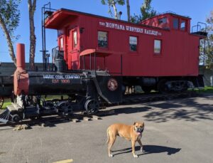 Bugsy and a Montana Western Railway train car