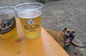 bugsy in the beer garden at Schell's
