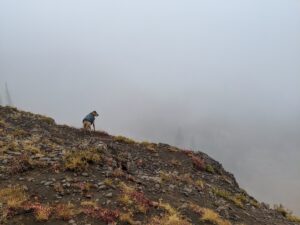 Bugsy hiking on a foggy day in Caribou-Targhee National Forest