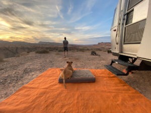 Bugsy outside the Airstream