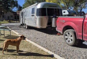 Bugsy and the Airstream at the Montrose KOA