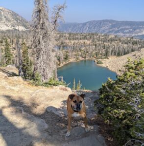 hiking by alpine lakes in Mirror Lake Rec Area