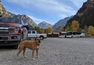 Bugsy at Ouray RV Resort