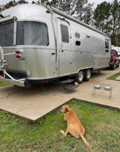 Bugsy and the Airstream at texas star rv park vidor