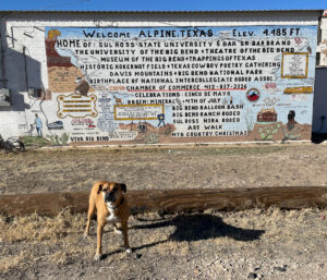 Bugsy in front of a mural in Alpine