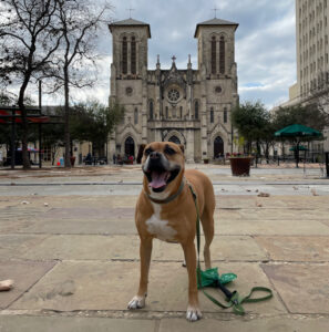 Bugsy in front of San Fernando Cathedral
