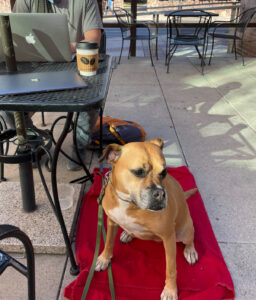 Bugsy having coffee at Caffe Luce