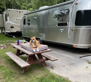 Bugsy relaxing by the Airstream in Boone