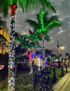 holiday lights on palm trees