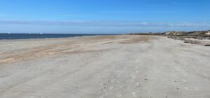 the beach and dunes in Fort Clinch State Park