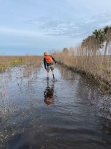 wading in the flooded Cones Dike Trail