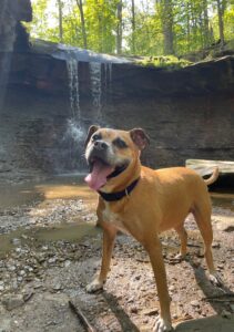 Bugsy in front of Blue Hen Falls