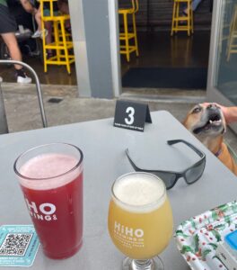 Bugsy and beers at HiHo Brewing in Cuyahoga Falls