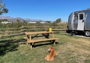 Bugsy and the Airstream at Crooked Creek Campground