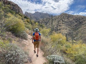 hiking in Catalina State Park