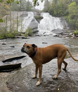 Bugsy and High Falls