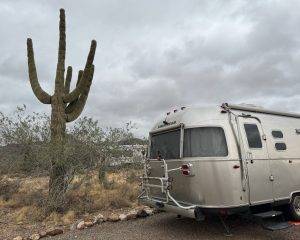 the Airstream and a saguaro at our campsite