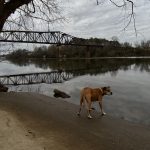Bugsy next to the Black Warrior river